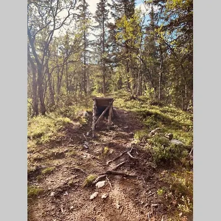 Super Sentral, Flott Og Solrik I Sentrum