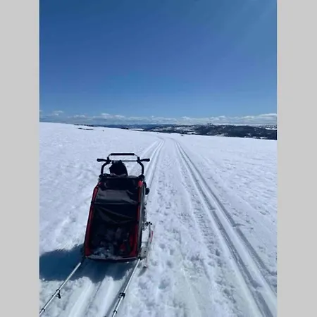 Super Sentral, Flott Og Solrik I Sentrum Leilighet