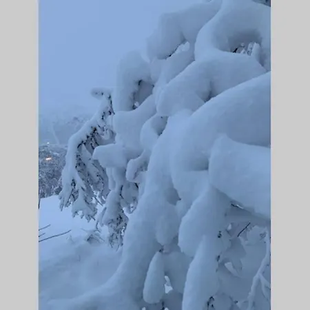 Super Sentral, Flott Og Solrik I Sentrum